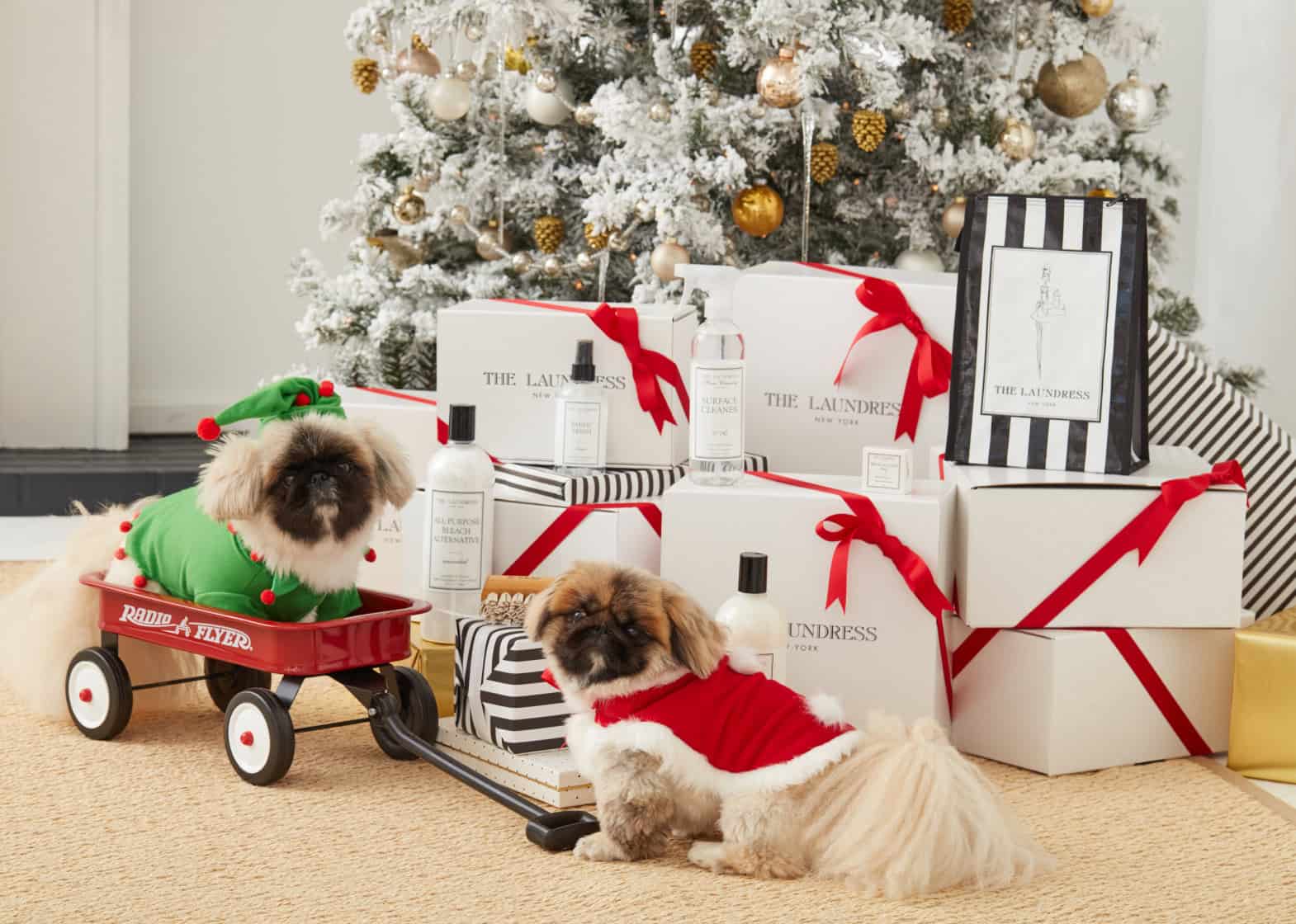 Our little Pekinese pups in their holiday best with products from the Laundress